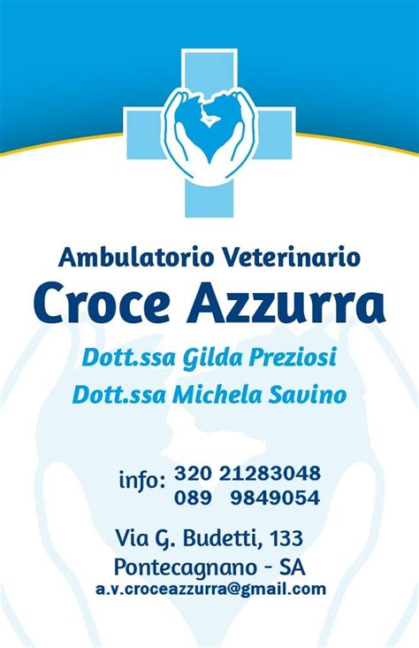 veterinario pontecagnano|Ambulatorio Veterinario Croce Azzurra Pontecagnano F.